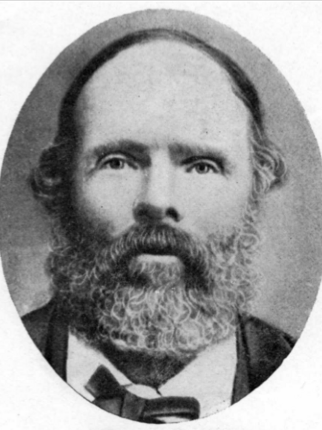David William Davis (1828 - 1907) Profile